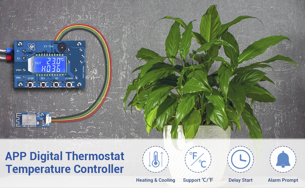DC 12V Digital Temperature Controller Thermostat Sensor for